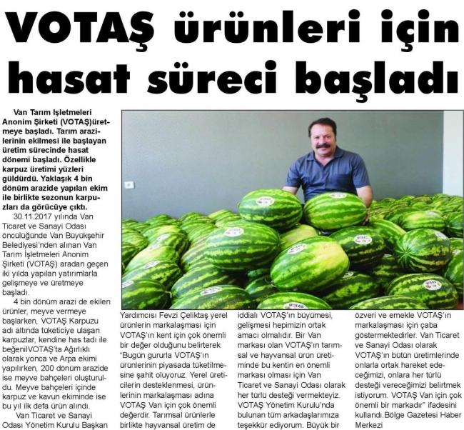 VOTAŞ ÜRÜNLERİ İÇİN HASAT SÜRECİ BAŞLADI