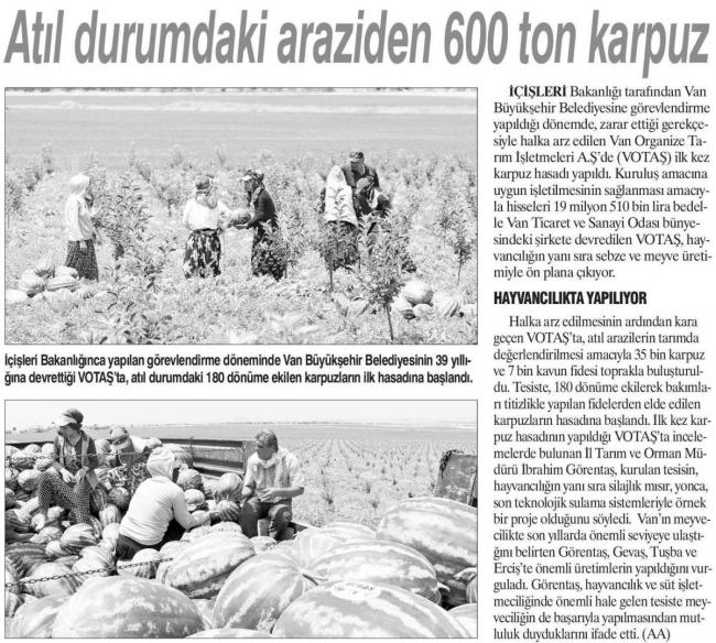 ATIL DURUMDAKİ ARAZİDEN 600 TON KARPUZ