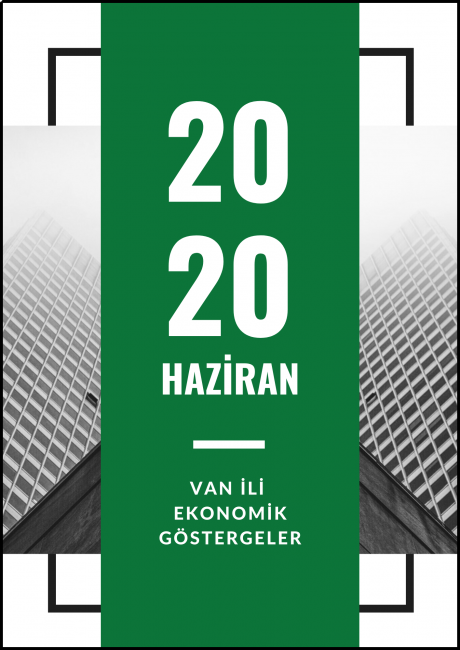 HAZİRAN AYI VAN İLİ EKONOMİK İSTATİSTİKLER 2020