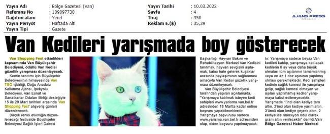 VAN KEDİLERİ YARIŞMADA BOY GÖSTERECEK