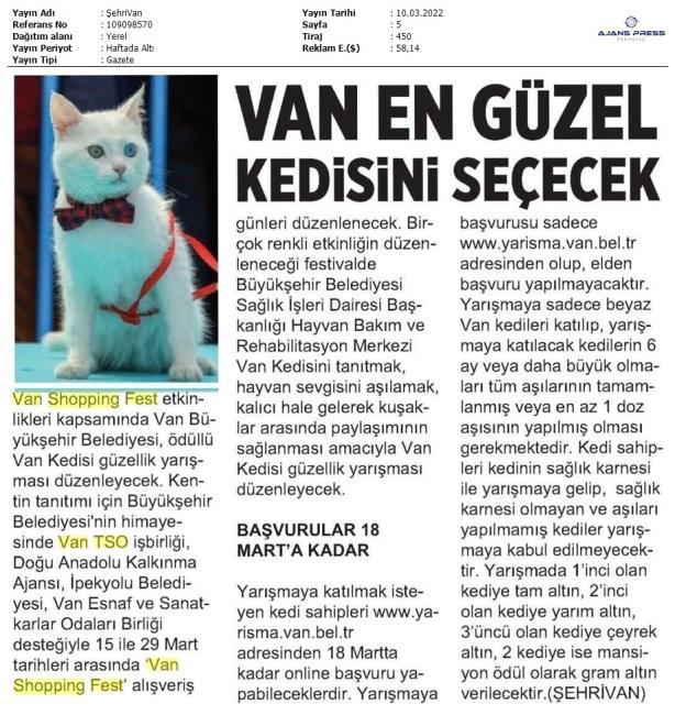 VAN EN GÜZEL KEDİSİNİ SEÇECEK
