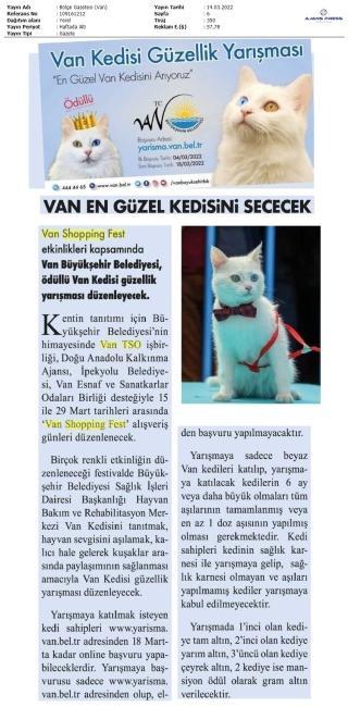 VAN KEDİSİ GÜZELLİK YARIŞMASI