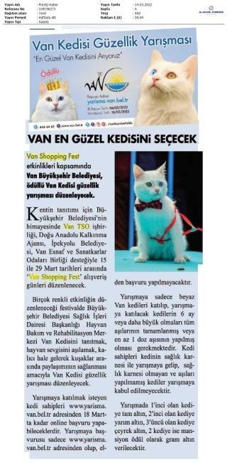 VAN EN GÜZEL KEDİSİNİ SEÇECEK