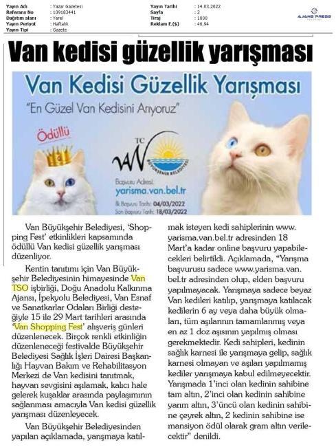 VAN KEDİSİ GÜZELLİK YARIŞMASI