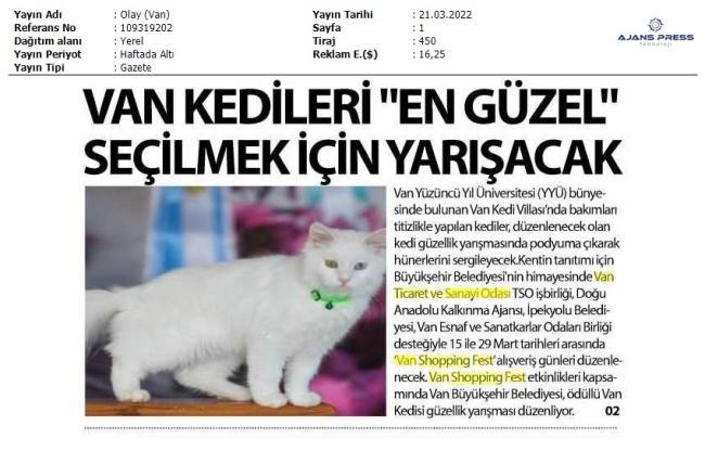 VAN KEDİLERİ 'EN GÜZEL 'SEÇİLMEK İÇİN YARIŞACAK