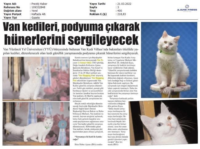 VAN KEDİLERİ PODYUMA ÇIKARAK HÜNERLERİNİ SERGİLEYECEK