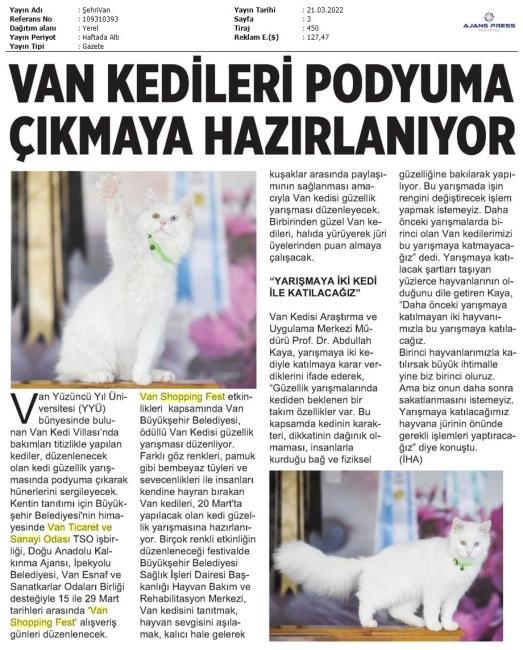 VAN KEDİLERİ PODYUMA ÇIKMAYA HAZIRLANIYOR