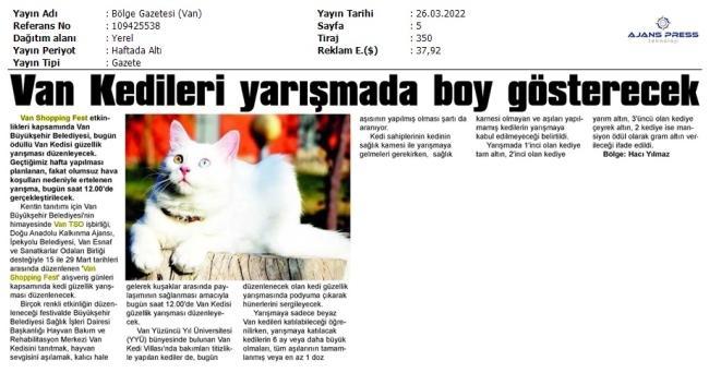 VAN KEDİLERİ YARIŞMADA BOY GÖSTERECEK