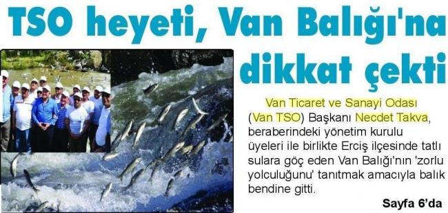 VAN TSO HEYETİ VAN BALIĞI' NA DİKKAT ÇEKTİ