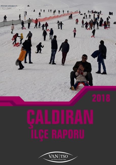 ÇALDIRAN İLÇE RAPORU 2019