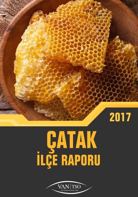 ÇATAK İLÇE RAPORU 2017