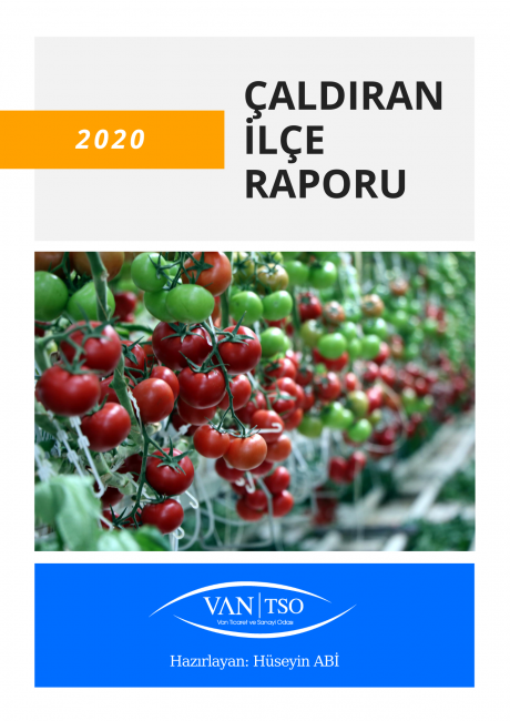 ÇALDIRAN İLÇE RAPORU 2020