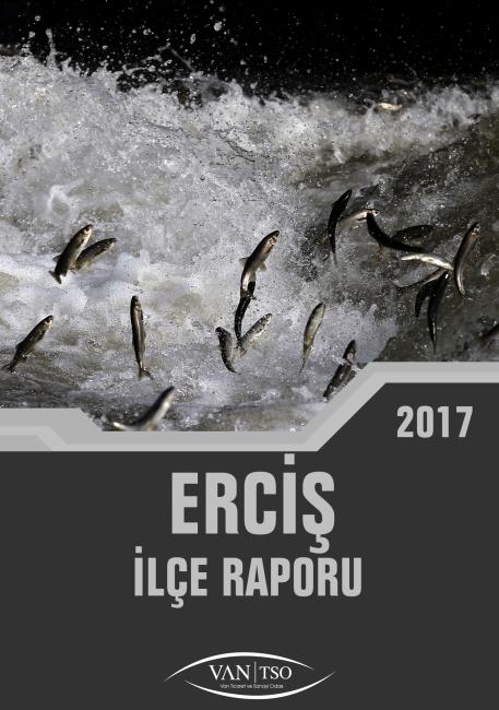 ERCİŞ İLÇE RAPORU 2017