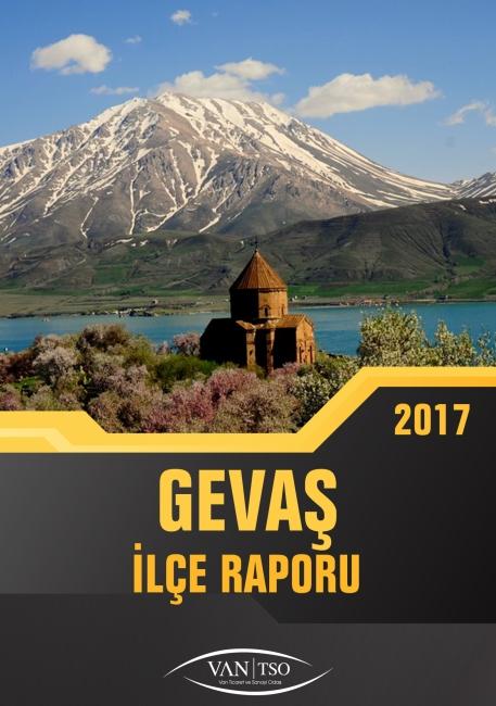 GEVAŞ İLÇE RAPORU 2017