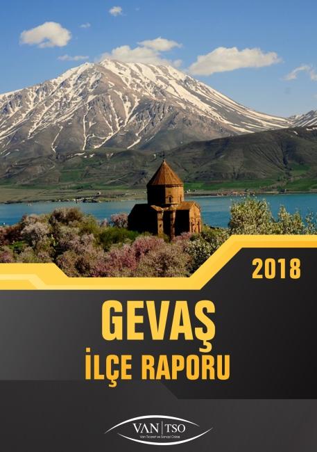 GEVAŞ İLÇE RAPORU 2018