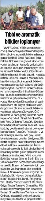 TIBBİ VE AROMATİK BİTKİLER TOPLANIYOR