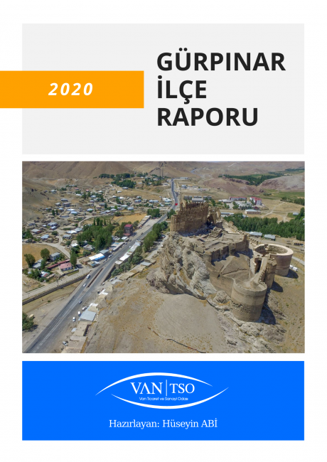 GÜRPINAR İLÇE RAPORU 2020