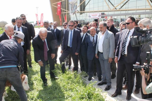 8. İNCİ DOĞU ANADOLU TARIM HAYVANCILIK VE GIDA FUARI
