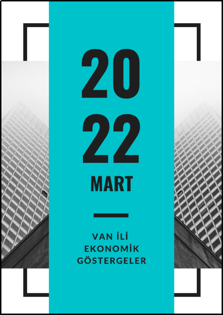 MART AYI VAN İLİ EKONOMİK İSTATİSTİKLER 2022