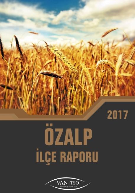 ÖZALP İLÇE RAPORU 2017